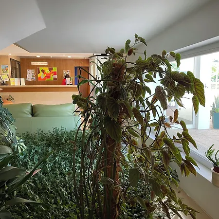 Hostel Hi - De Juventude *